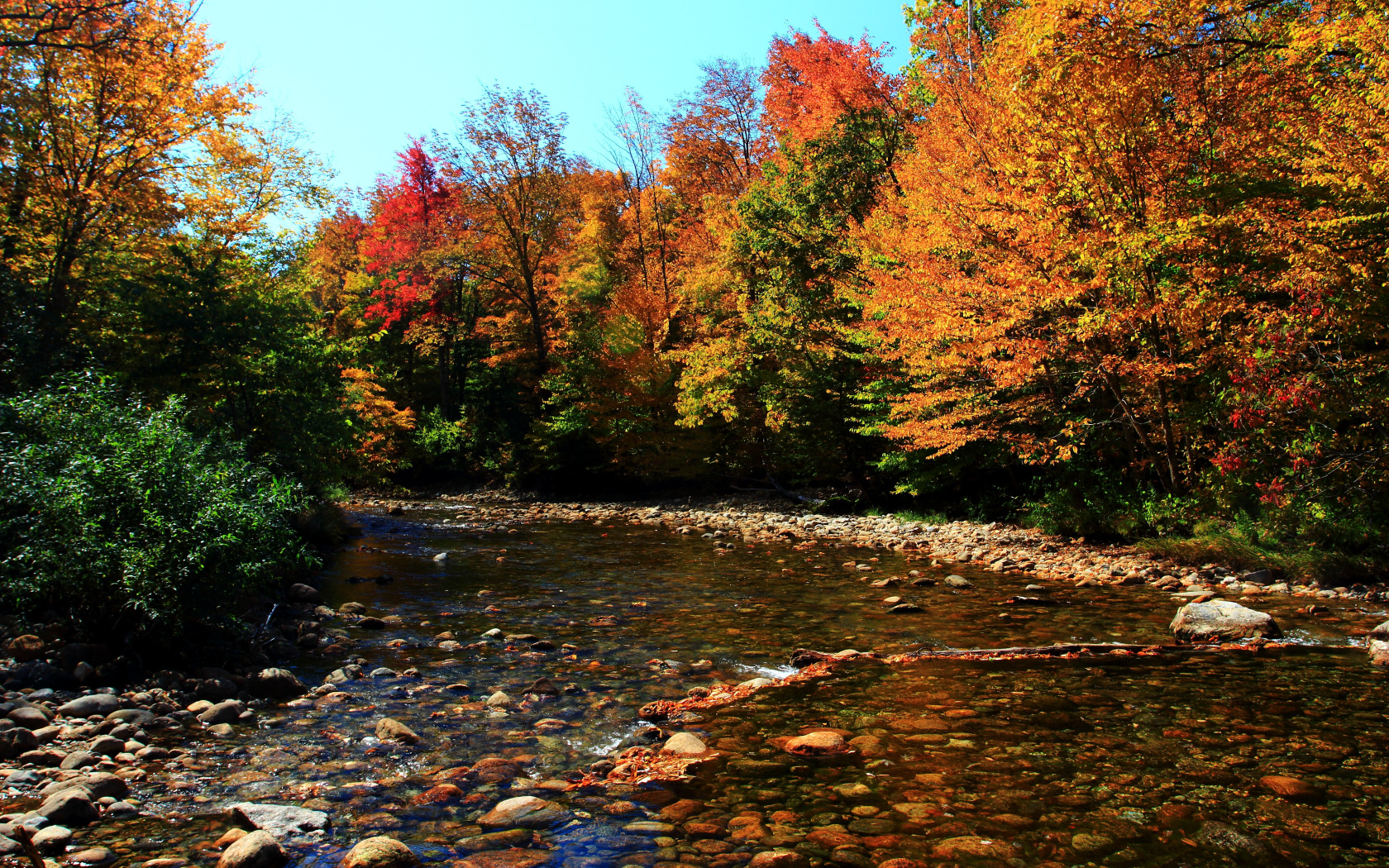 Stone fall. Осенний лес. Осень речка. Горы осенью. Осенняя прозрачная река.