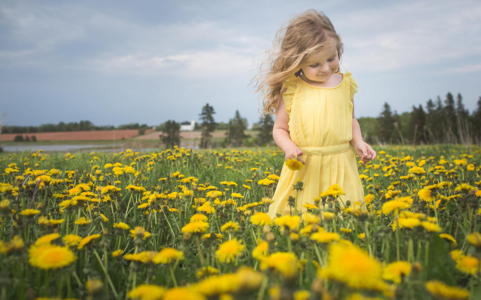 Мальчик с желтыми цветами. Девочка в поле. Девочка с одуванчиком. Девочка на одуванчиковом поле. Девочка на лугу.