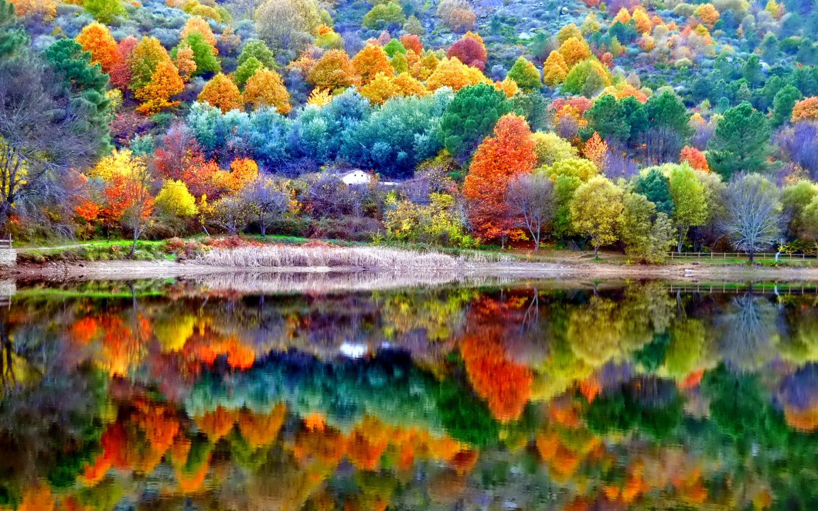 Красивая осень. Природа осень. Разноцветная осень. Яркая природа.