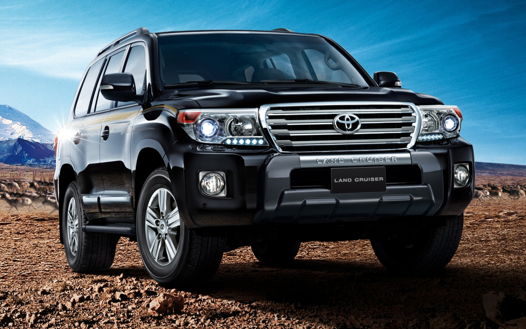 Land cruiser 250