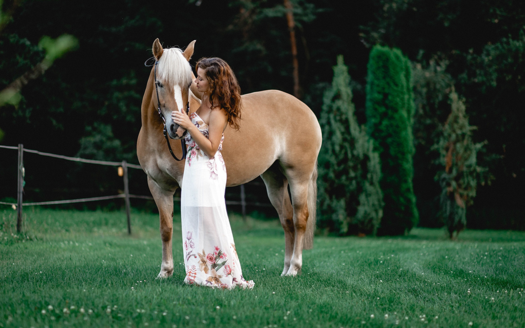 Фотосессия с лошадьми на природе. Фотосессия с лошадью в платье. Девушка с лошадью. Девушка на лошади на природе.