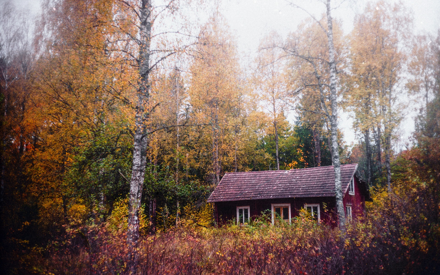 Избушка в осеннем лесу