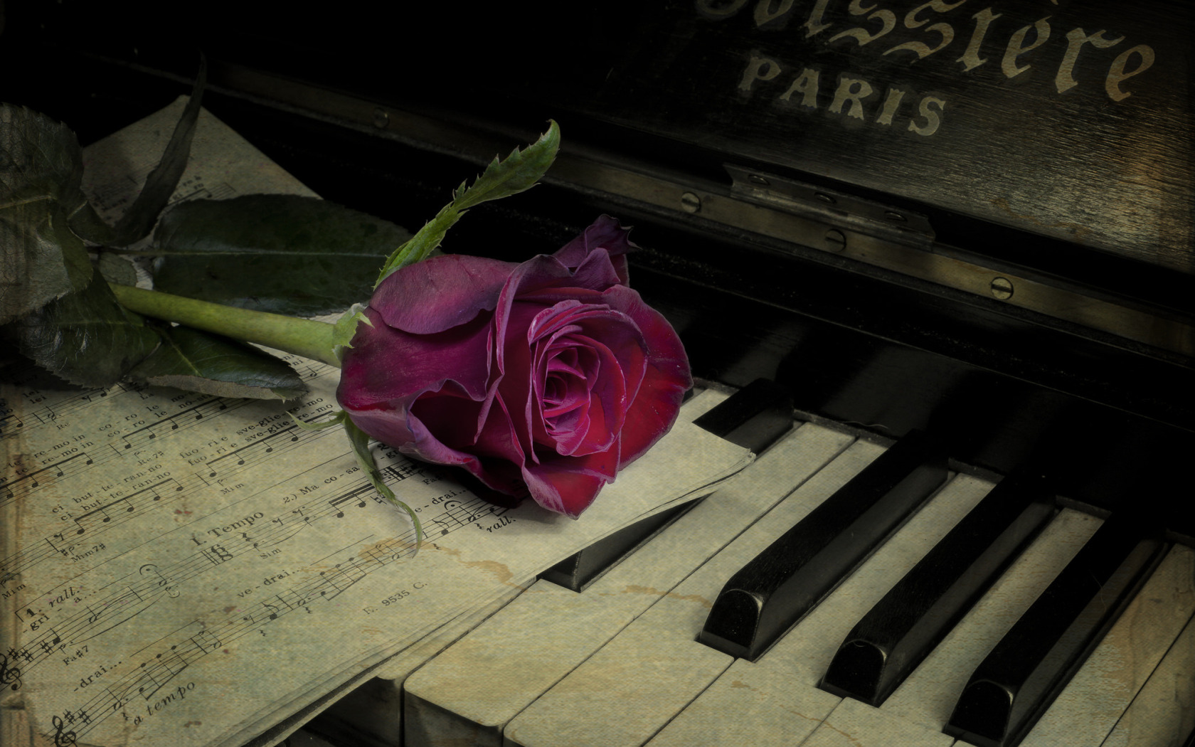 Цветы на пианино. Пианино с цветами. Пианино на рабочий стол. Цветы на рояле.