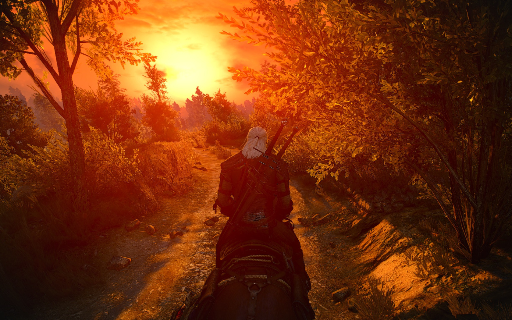 The witcher 3 4k mods фото 113