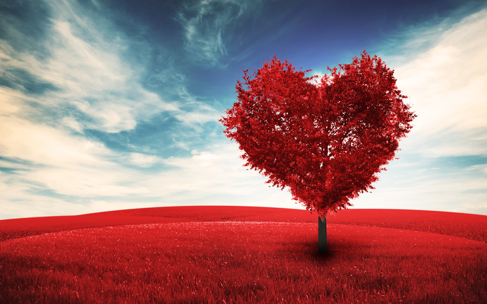 Дерево сердце. Необычное сердце. Дерево любви. Красивое дерево сердце. Best of your heart