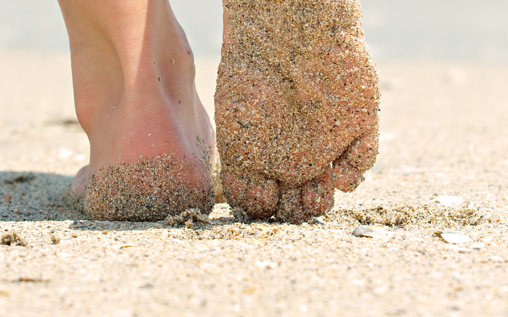 Пятки подруги. Барефут Сэнд. Ноги в песке. Ноги на пляже. Стопы на песке.