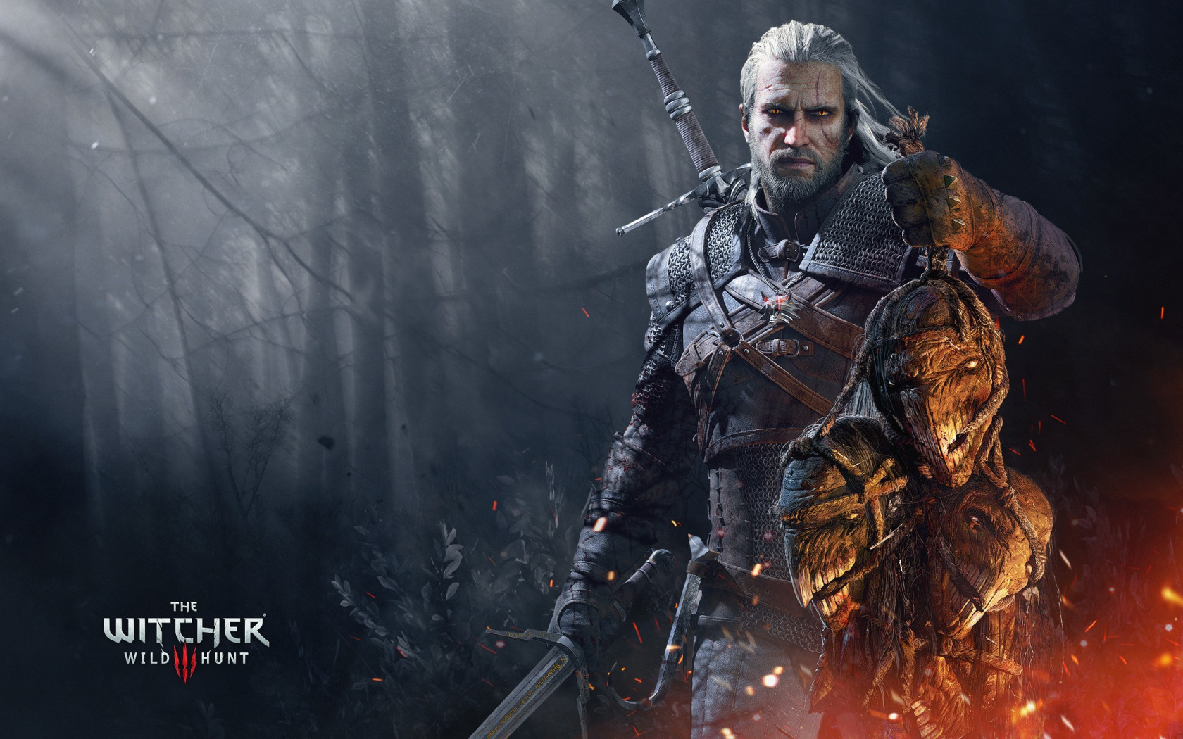 The witcher 3 witcher school gear фото 28