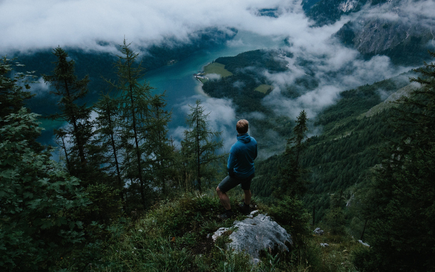 Forest сила. Горы лес человек. Лес спокойствие. Мечтатель в горах. Мужчина на горе на фоне леса.