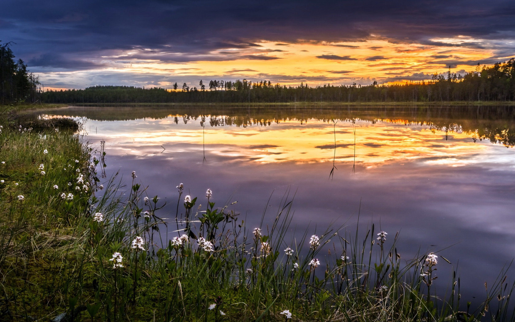 Природа вечер