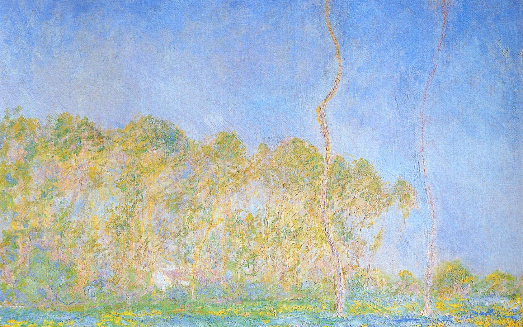 Моне дай. Клод Моне весенние пейзажи. Клод Моне 1894 Spring Landscape. Живопись Клод Моне, лето, берёзы. Клод Моне желтые картины.