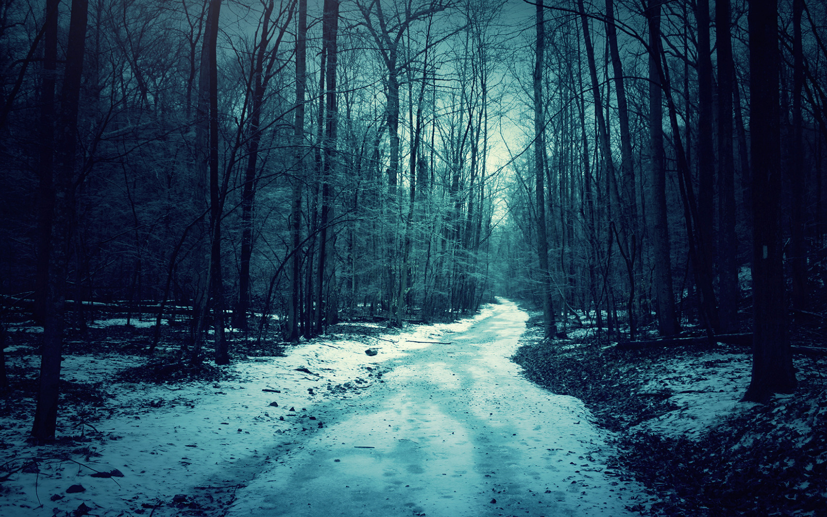 Мрачный снег. Ночной лес. «Ночь в лесу». Мрачный пейзаж. Ночной зимний лес.