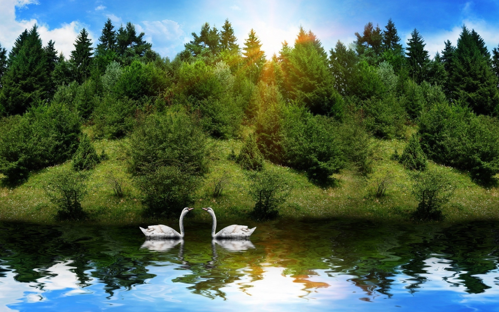 Живая природа летом 2 класс. Природа. Лебеди на озере. Природа с водоёмом. Природа лето озеро.