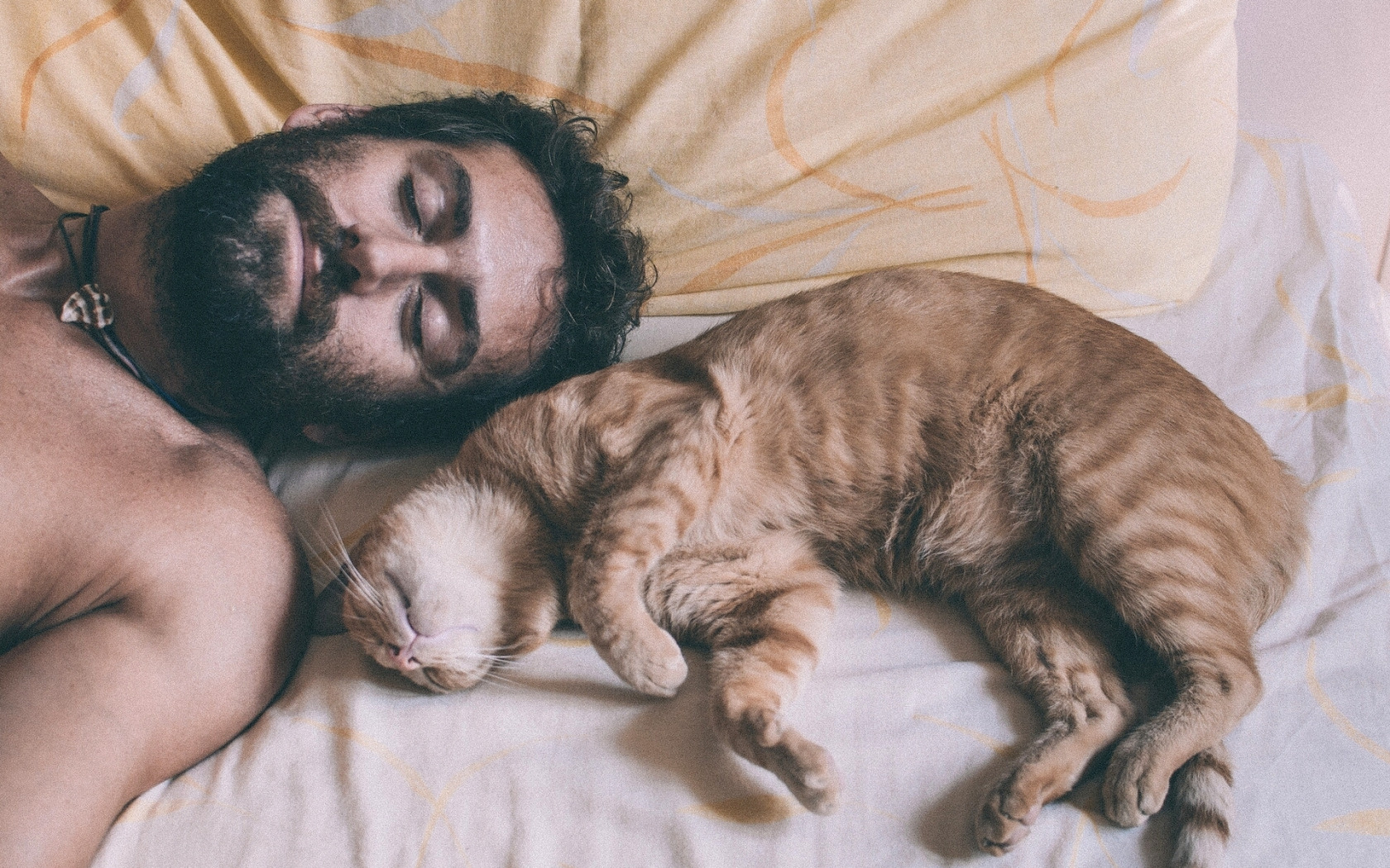 Мужчина любящие кошек. Мужчина с котом. Кровать для кошки. Кот лежит.