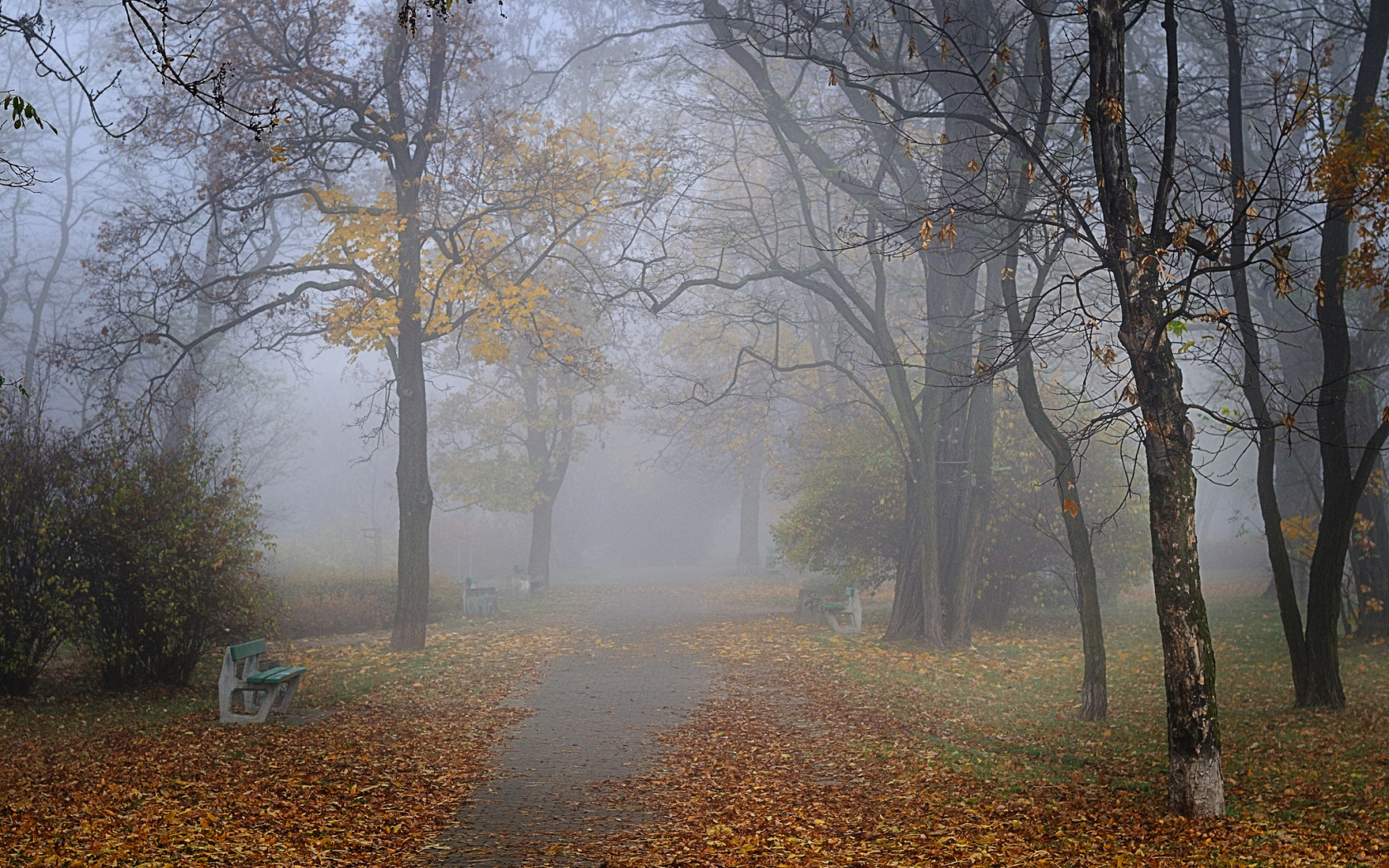Скачать обои осень, туман, парк, аллея, скамейки, раздел природа в разрешен...