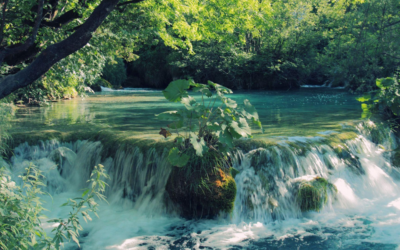 Водопады геншин. Красивые водопады. Водопад у озера. Природа лето вода. Летний водопад.