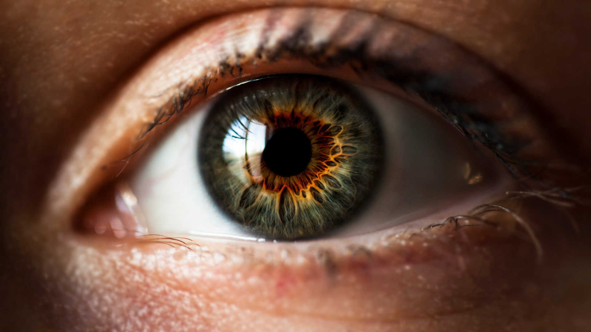 Какую функцию выполняет зрачок глаза преобразует энергию. Красивые глаза. Человеческий глаз. Макросъемка глаза. Радужка глаза.