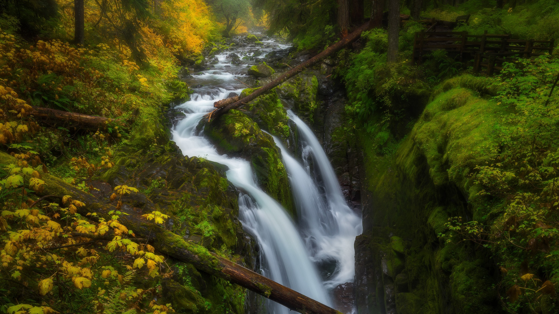 Сумерки водопад. Лесной водопад в парке Олимпик. Национальный заповедник Гиффорд Пинчот, Вашингтон, США. Линия в природе водопад. Водопад Сумерки.