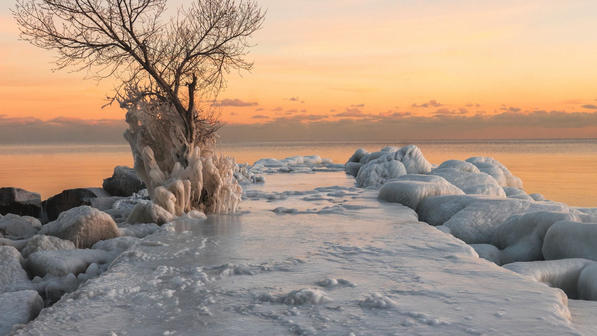 Морозное берег