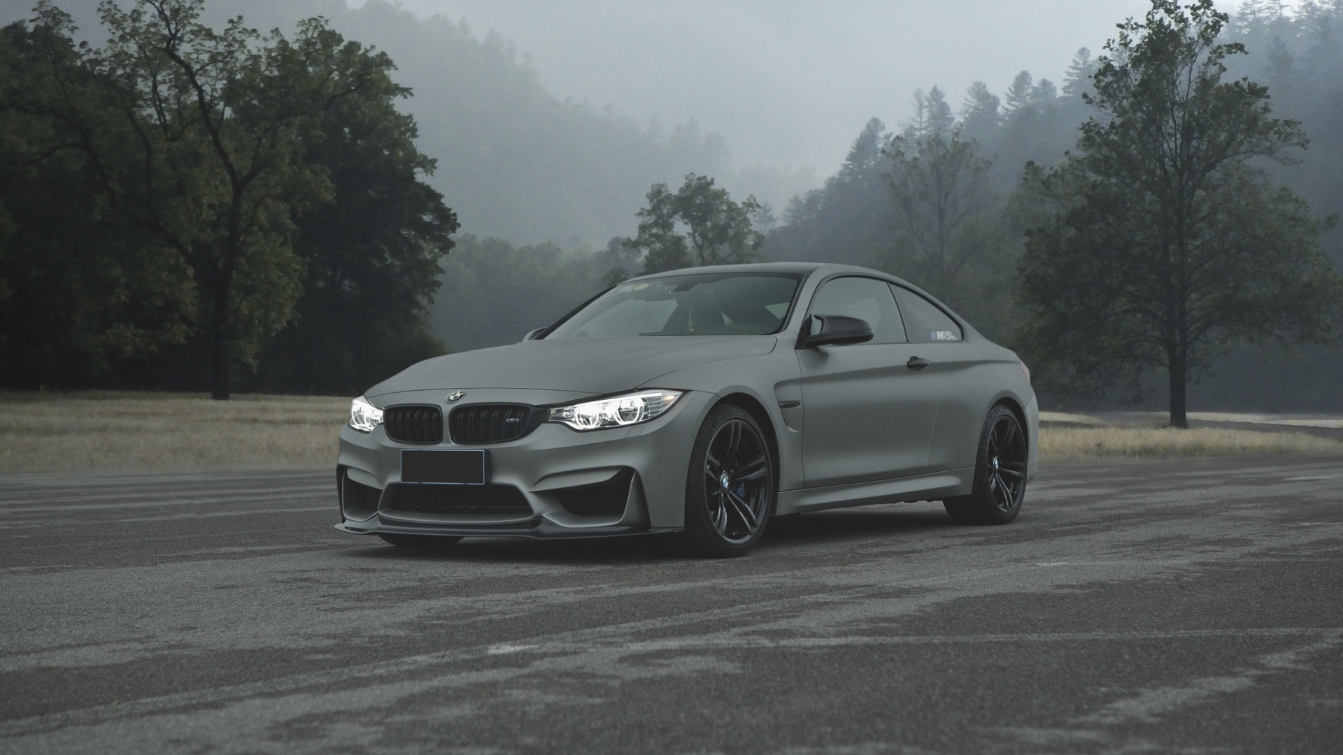 BMW f82 Foggy