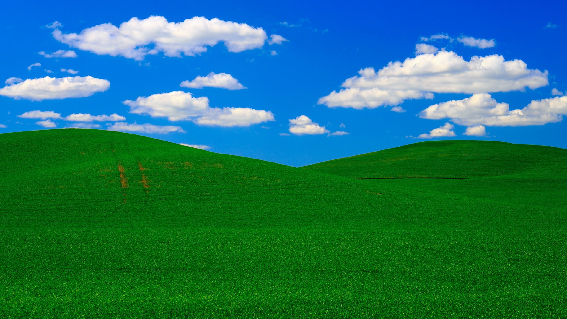 Windows xp рабочий стол картинка