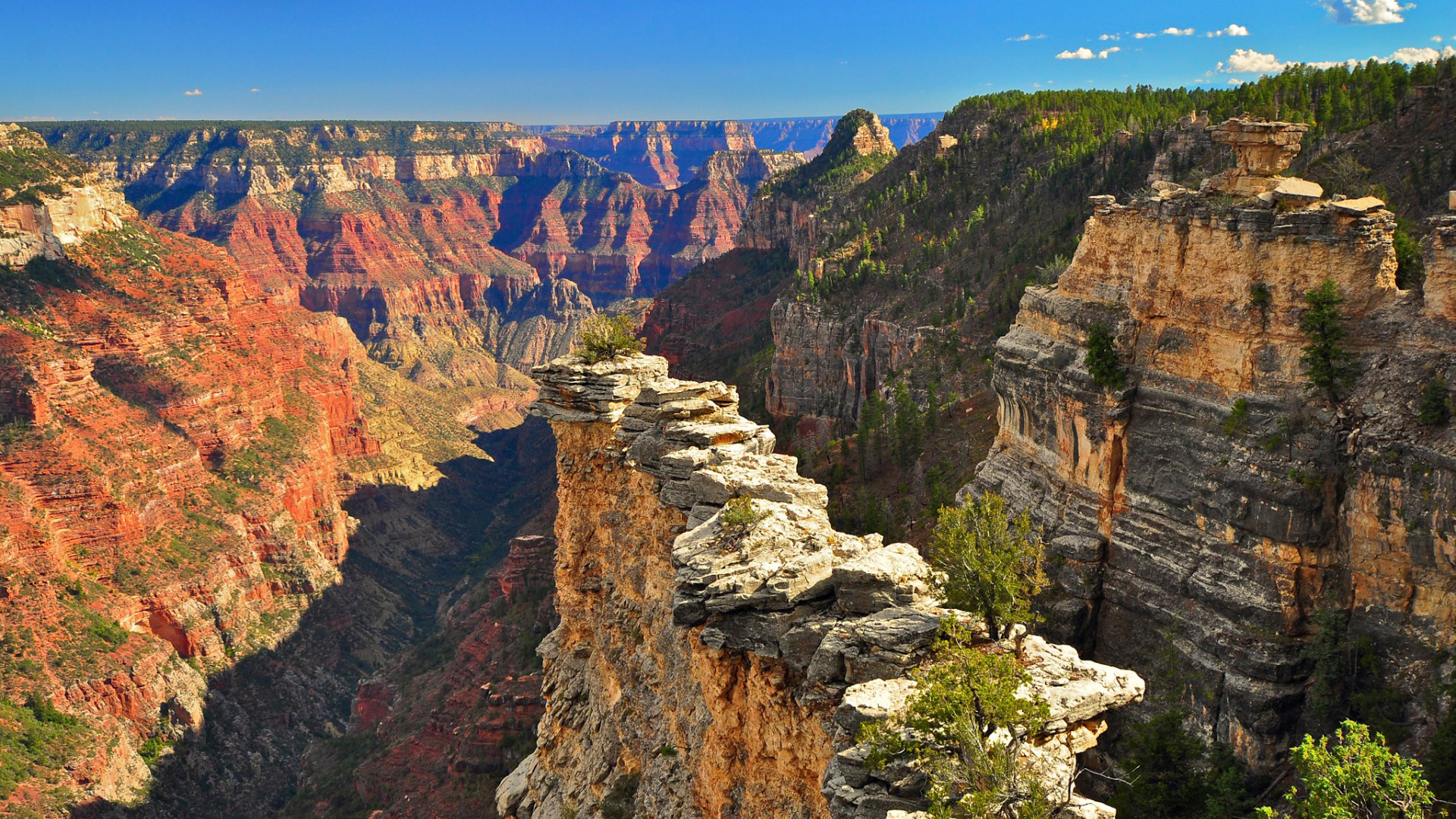 Grand canyon 4