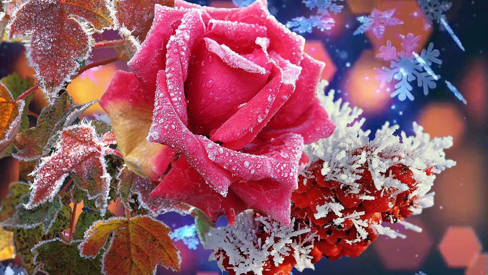 Цветок зима красивая. Зимние цветы. Красивые зимние цветы. Цветы в снегу.