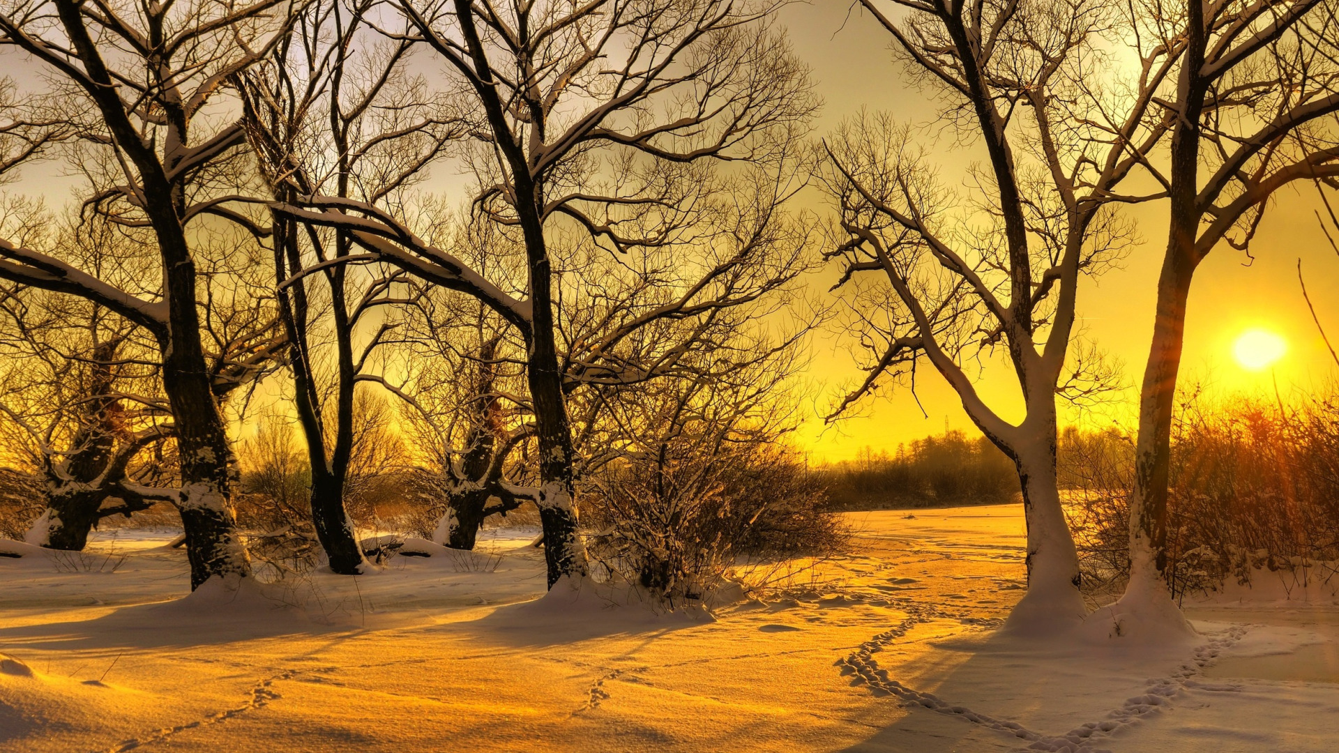 Утро природа февраль. Зимняя природа. Зима пейзаж. Солнечный зимний день. Зимний Солнечный пейзаж.