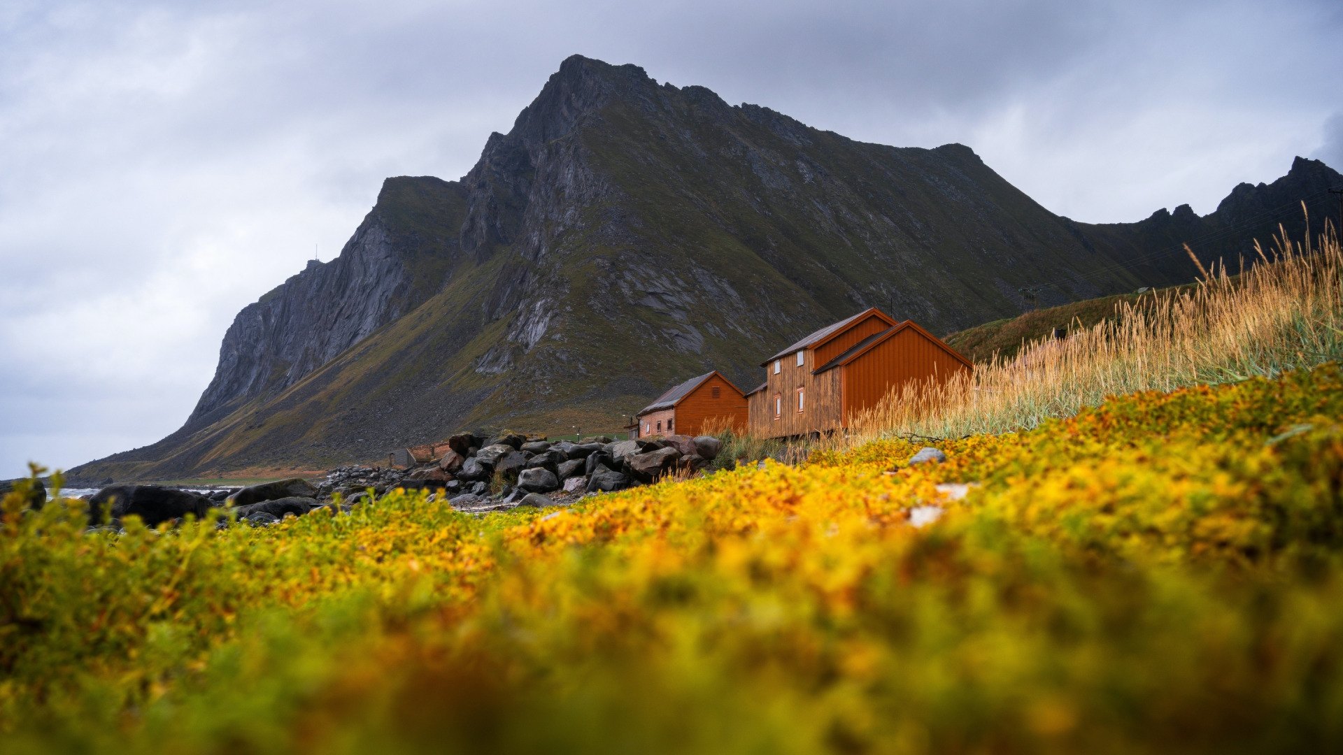 Mountain House домик в горах