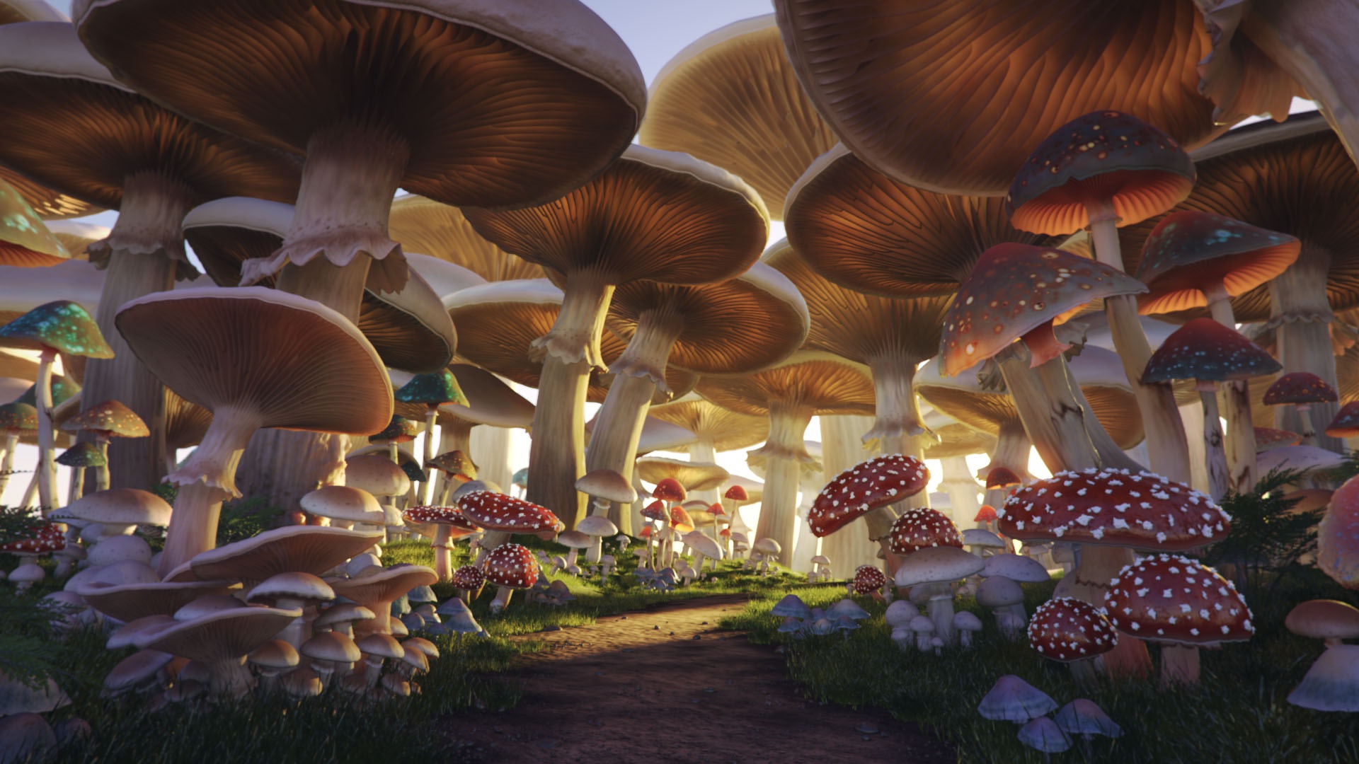 Обои грибы, тропа, Mushroom Forest на телефон и рабочий стол, раздел  фантастика, разрешение 1920x1080 - скачать