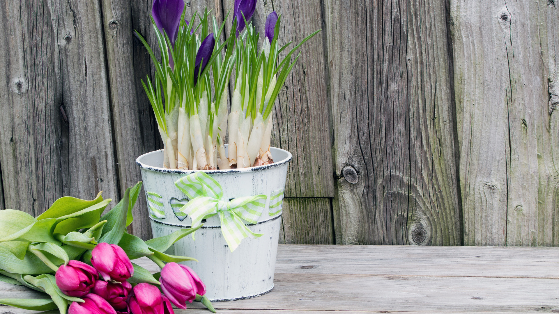 Как сохранить дольше свежие тюльпаны в вазе. Тюльпаны крокусы гиацинты. Тюльпан крем Фреш. Крокусы и тюльпаны букет. Стильные цветы.