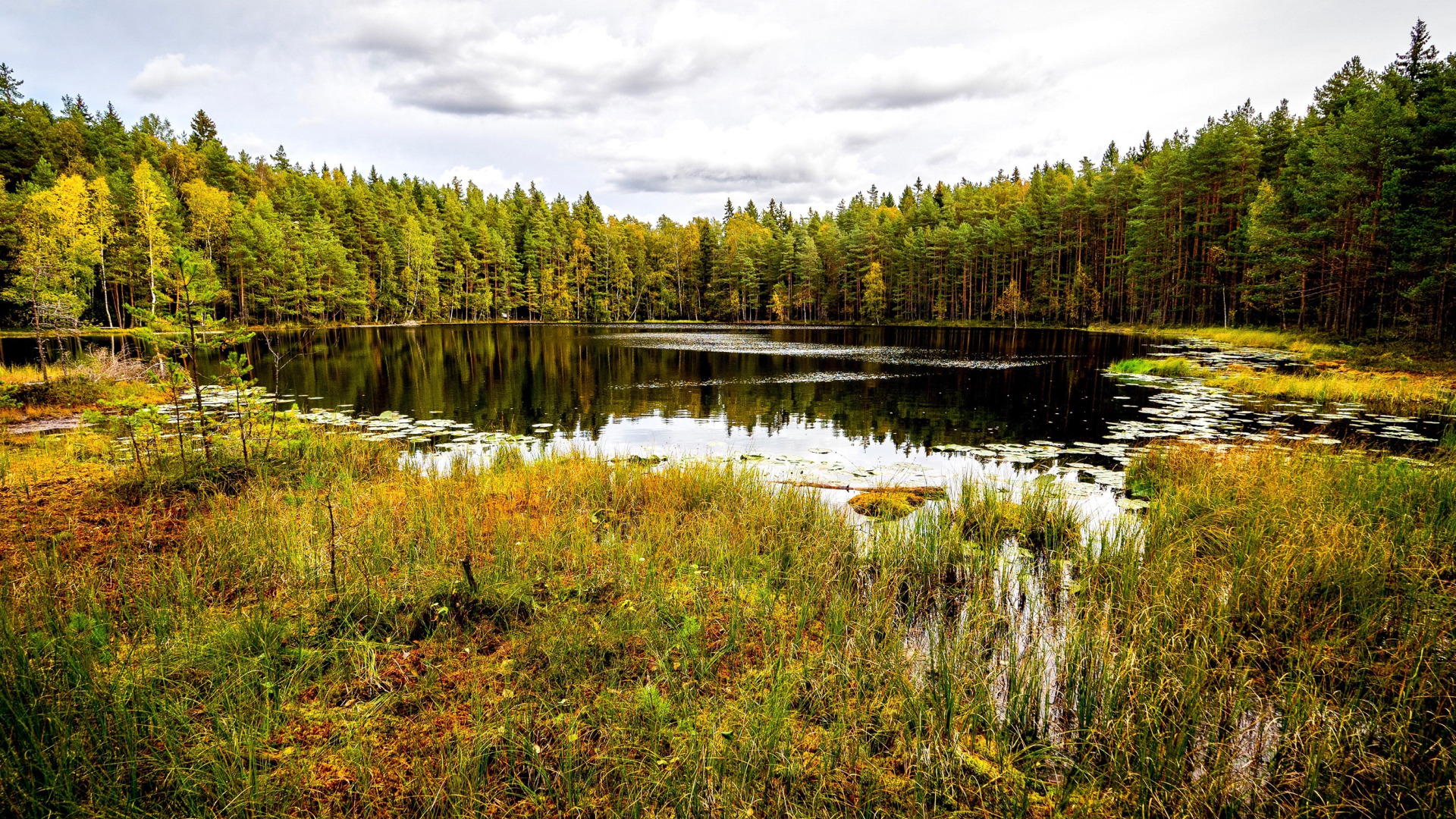 парки финляндии