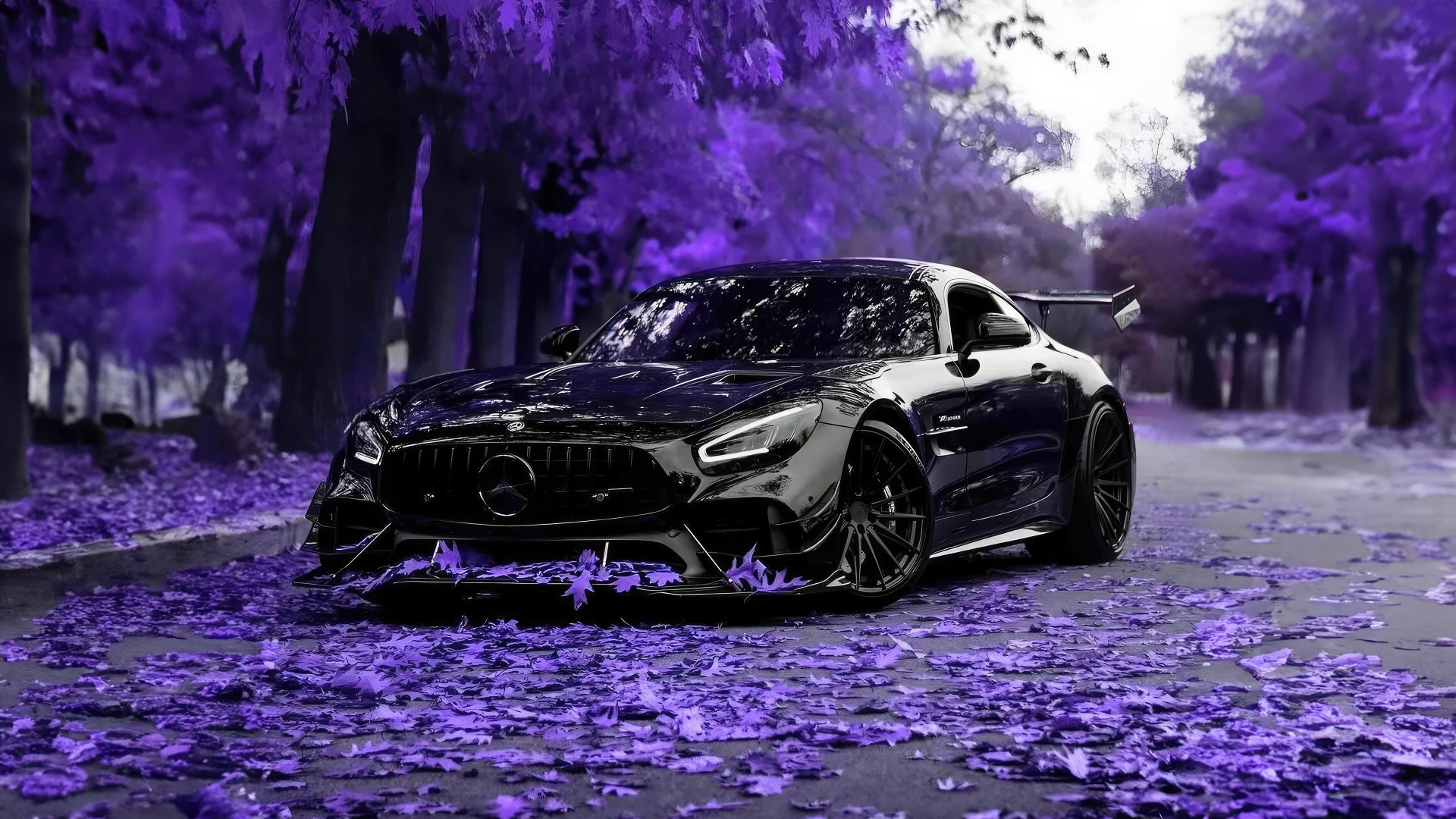 Mercedes Benz Gtr Amg Mercedes