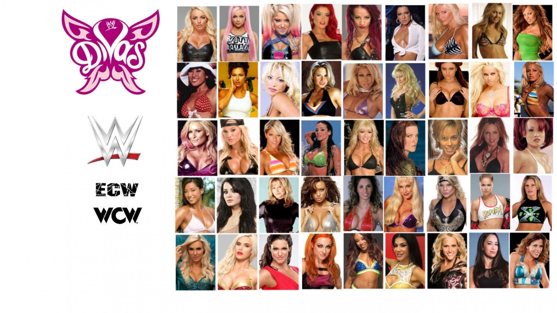 Скачать обои Wallpaper, WWE, WWE Divas, раздел девушки в разрешении  1920x1080