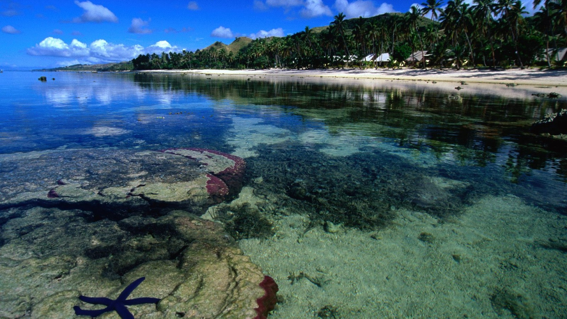 Жизнь в океане сконцентрирована на мелководье. Вити Леву Фиджи. Остров Фиджи. Остров ВОМО Фиджи. Вити-Леву вода Fiji.