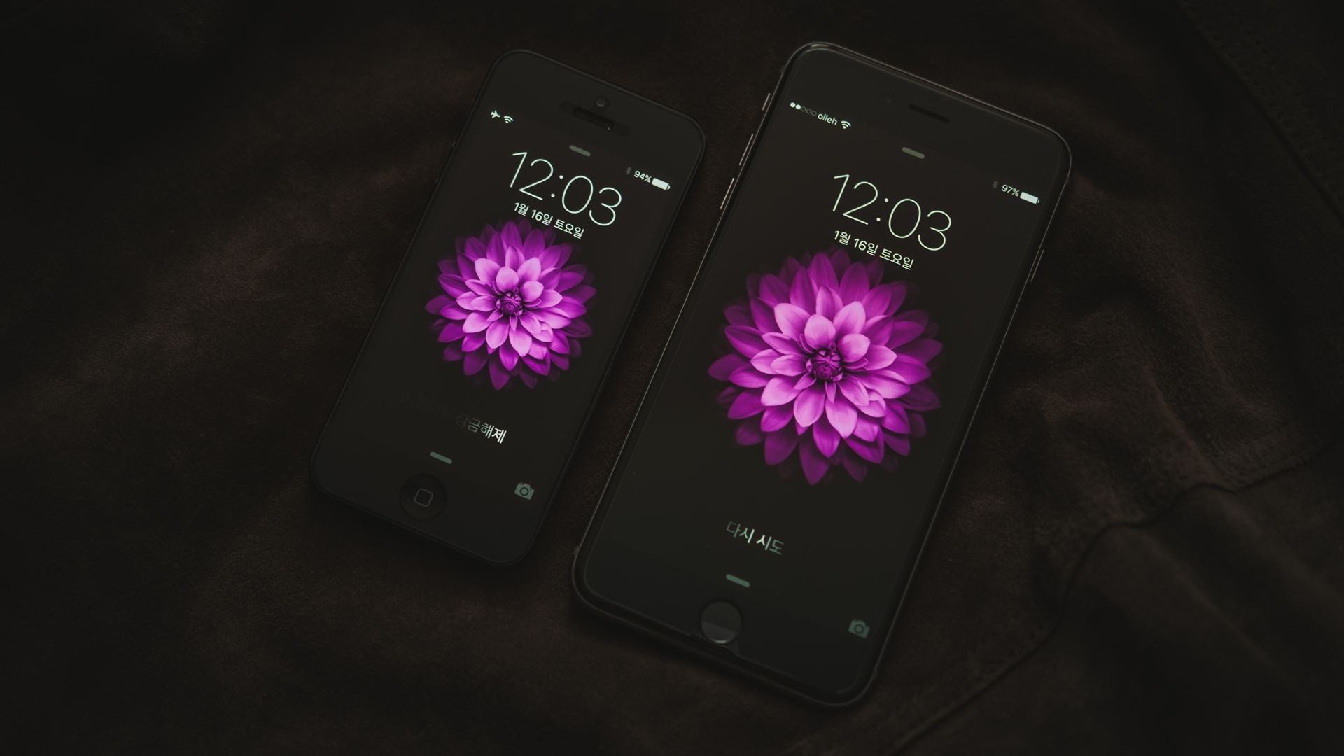 Обои flower, screen, touch, iPhone 6 на телефон и рабочий стол, раздел  hi-tech, разрешение 1920x1080 - скачать