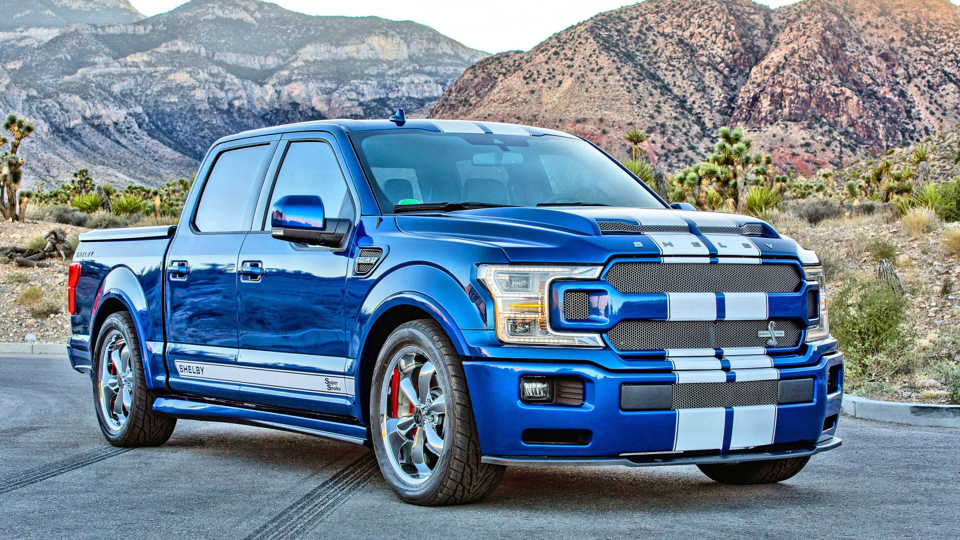 Ford f150 Raptor Shelby