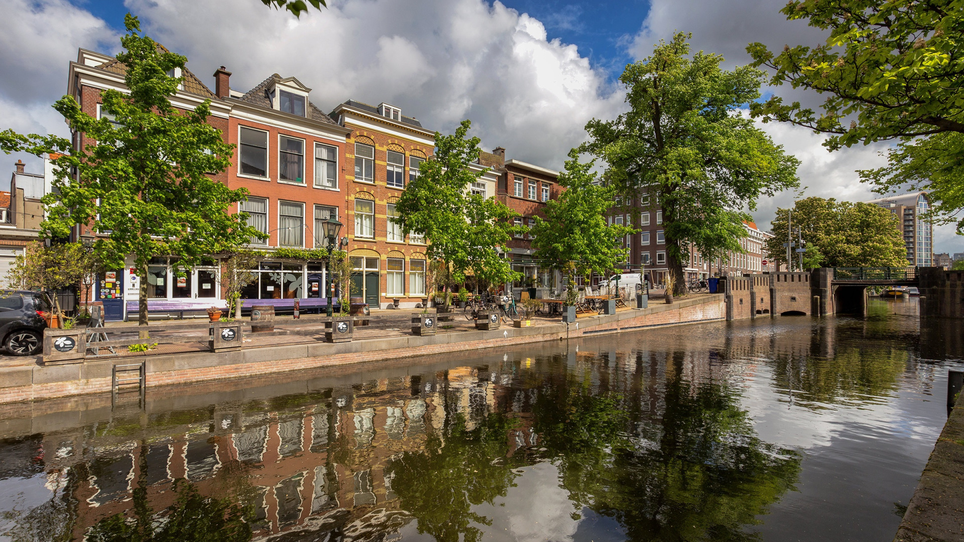 Каналы Нидерландов. Деревья в Нидерландах. Обои на рабочий стол Нидерланды. Голландия каналы отражение фото.