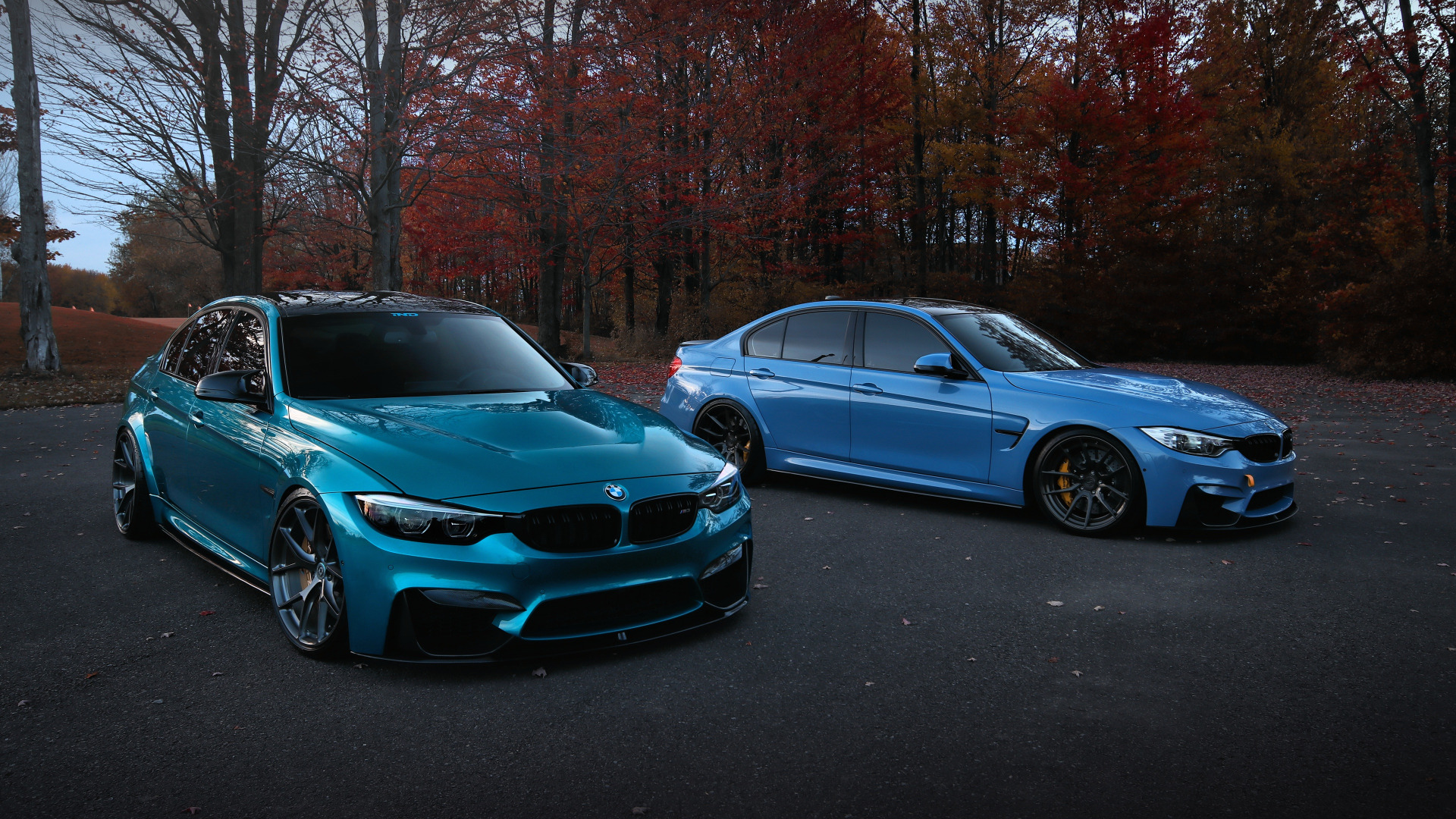 BMW m4 Mavi