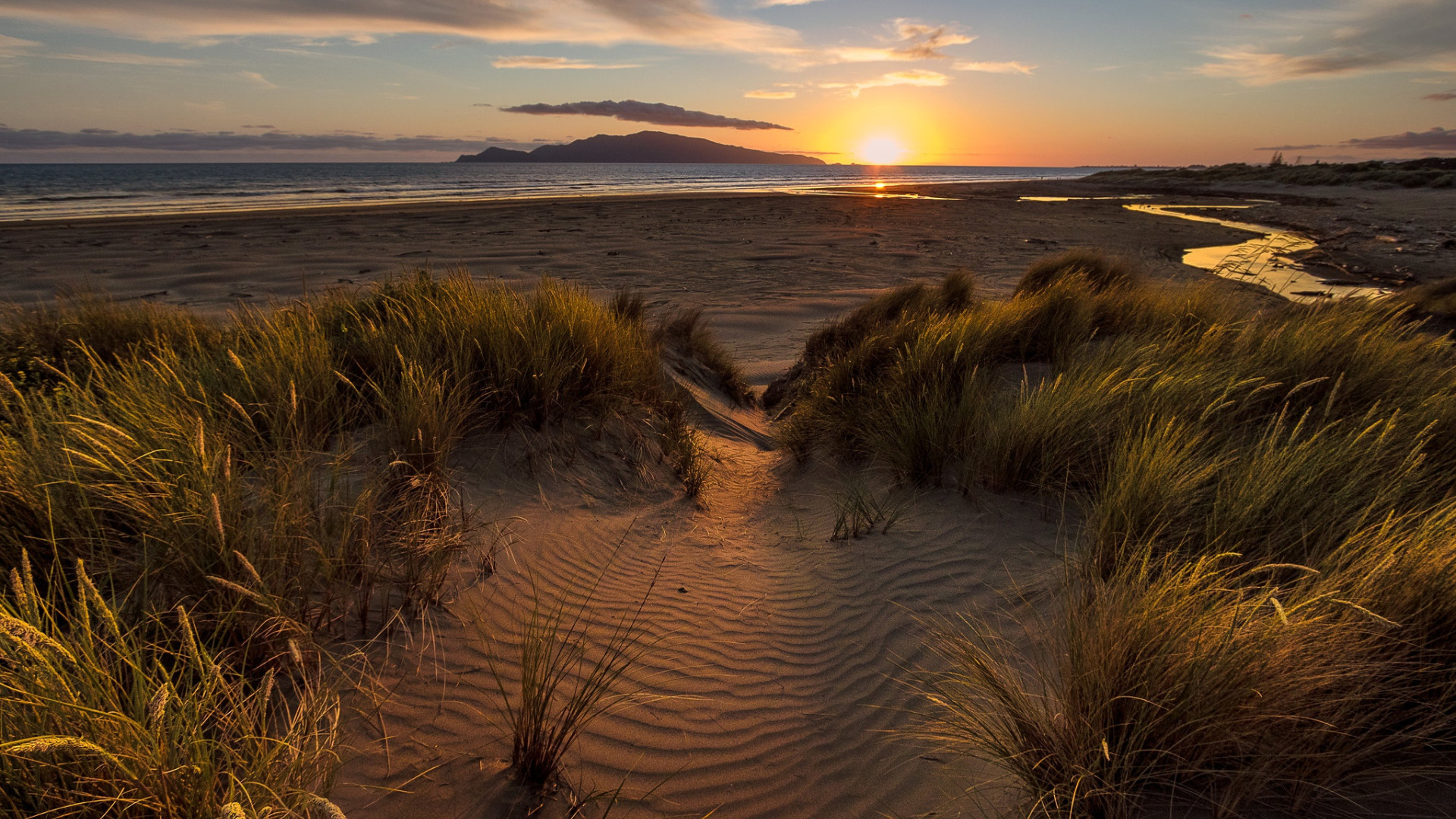 Evening sand. Пески. Море трава солнце. Обои на рабочий море побережье. Морская пена на закате.