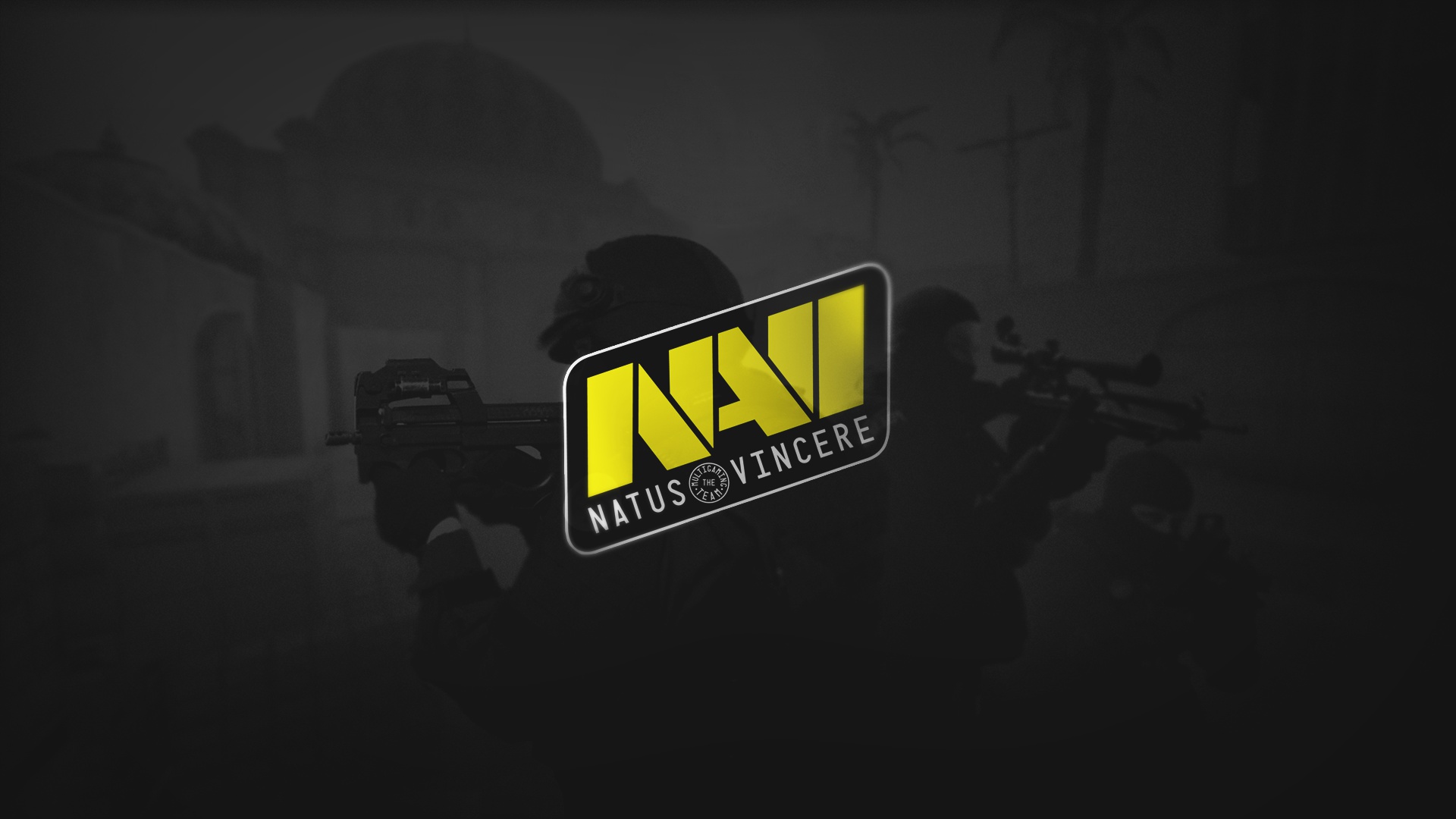 Нави натус винсер. Navi CS go. Нави КС го логотип. Картинка нави.