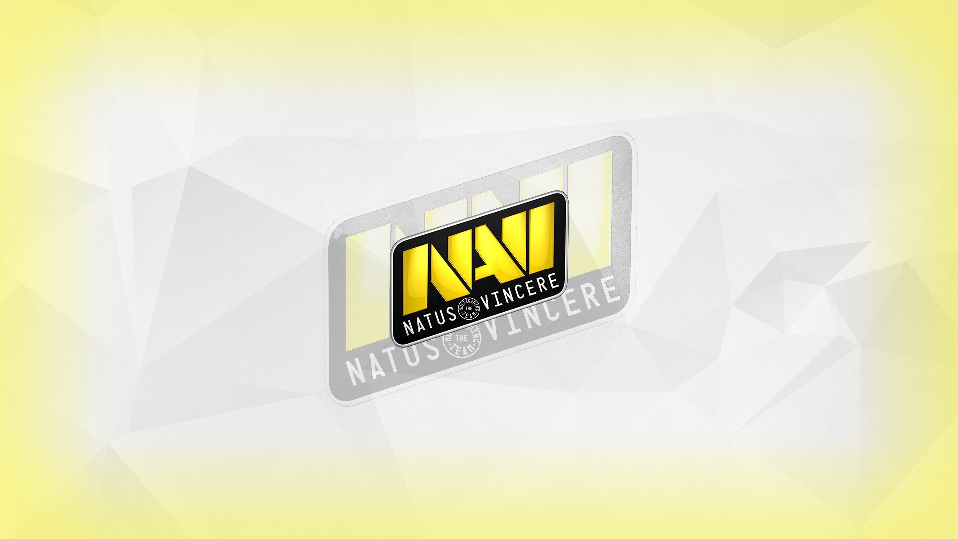 Скачать обои team, Natus Vincere, NaVi Gaming, NaVI, раздел игры в  разрешении 1920x1080