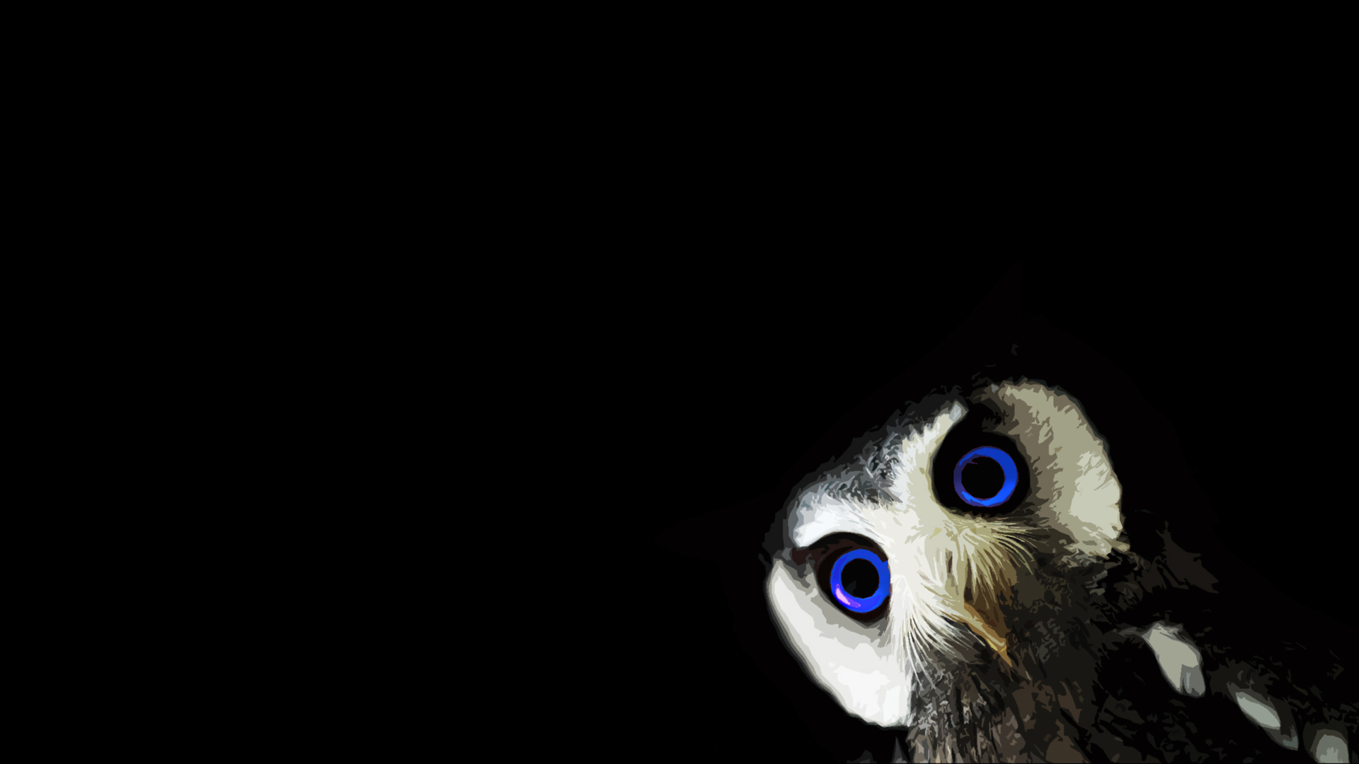 Обои black, animals, minimalism, blue eyes, black background, owl на телефон  и рабочий стол, раздел минимализм, разрешение 1920x1080 - скачать