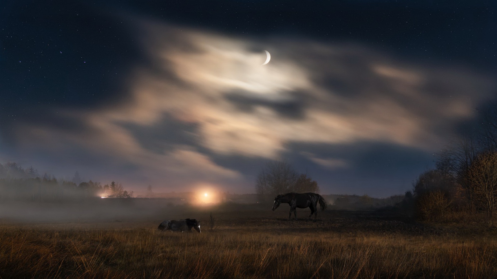 Луна туман песня. Степь ночью. Лунная ночь в поле. Поле ночью. Луна в степи.