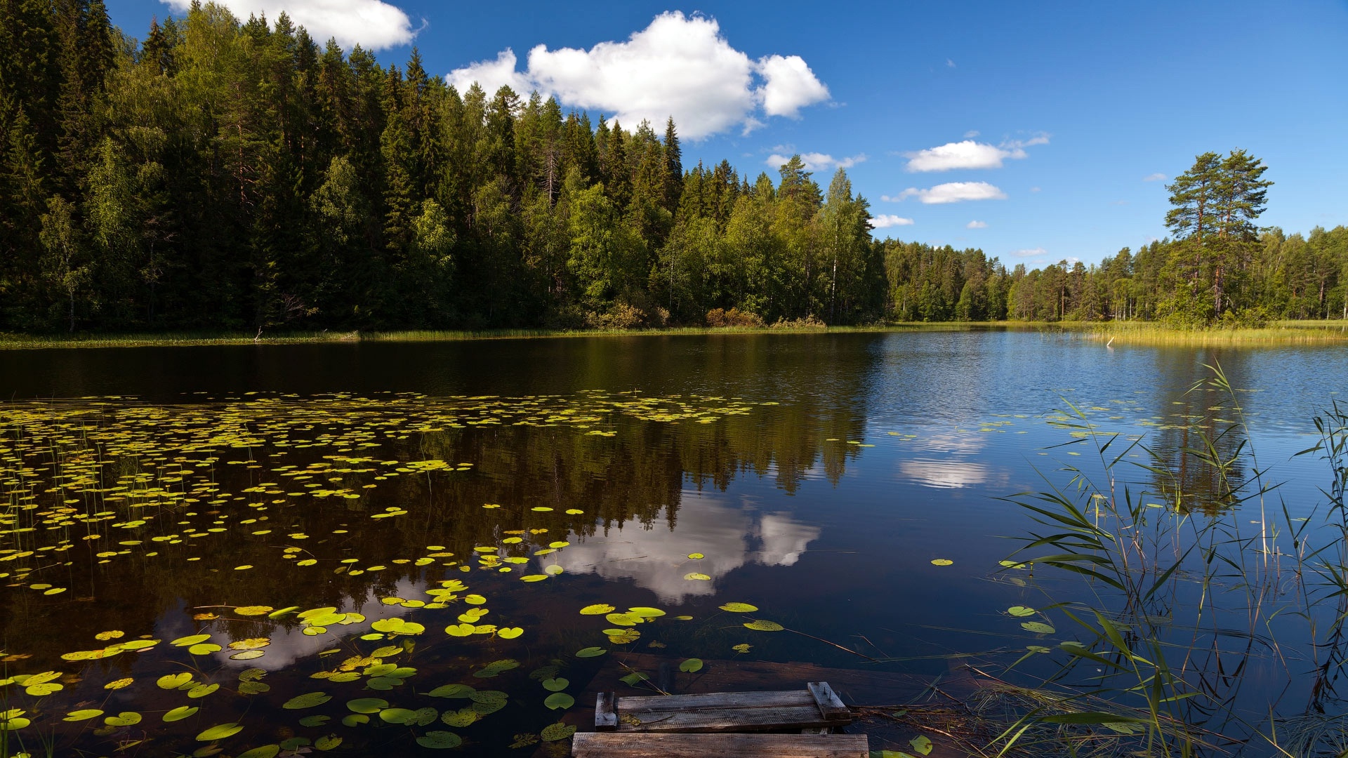 Озером называется природный водоем который. Пустынские озёра Нижегородская область. Озеро Боровно Окуловский район. Озеро Мадалаярви. Озеро Ахманка.