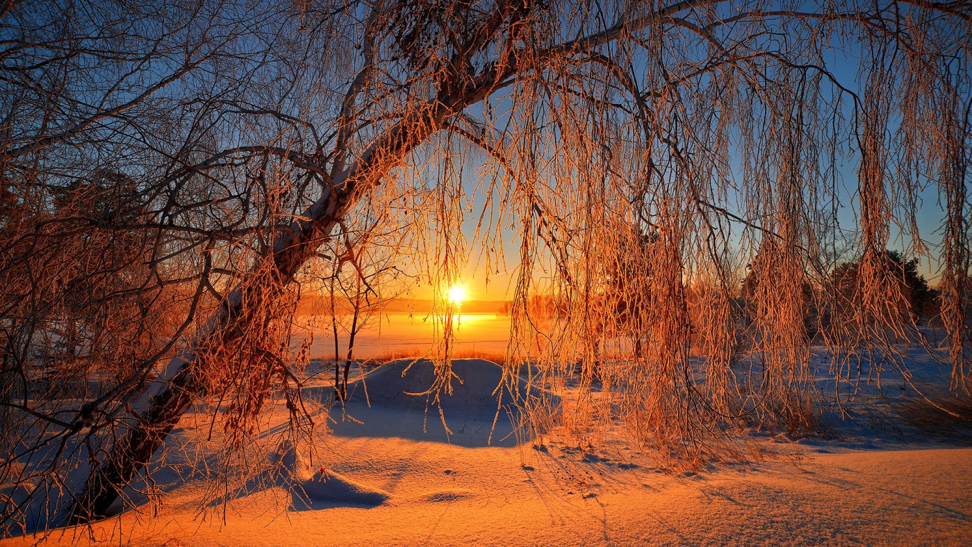 Заходящее солнце в марте. Красивый зимний закат. Рассвет зимой. Зима солнце. Рассвет в зимнем лесу.