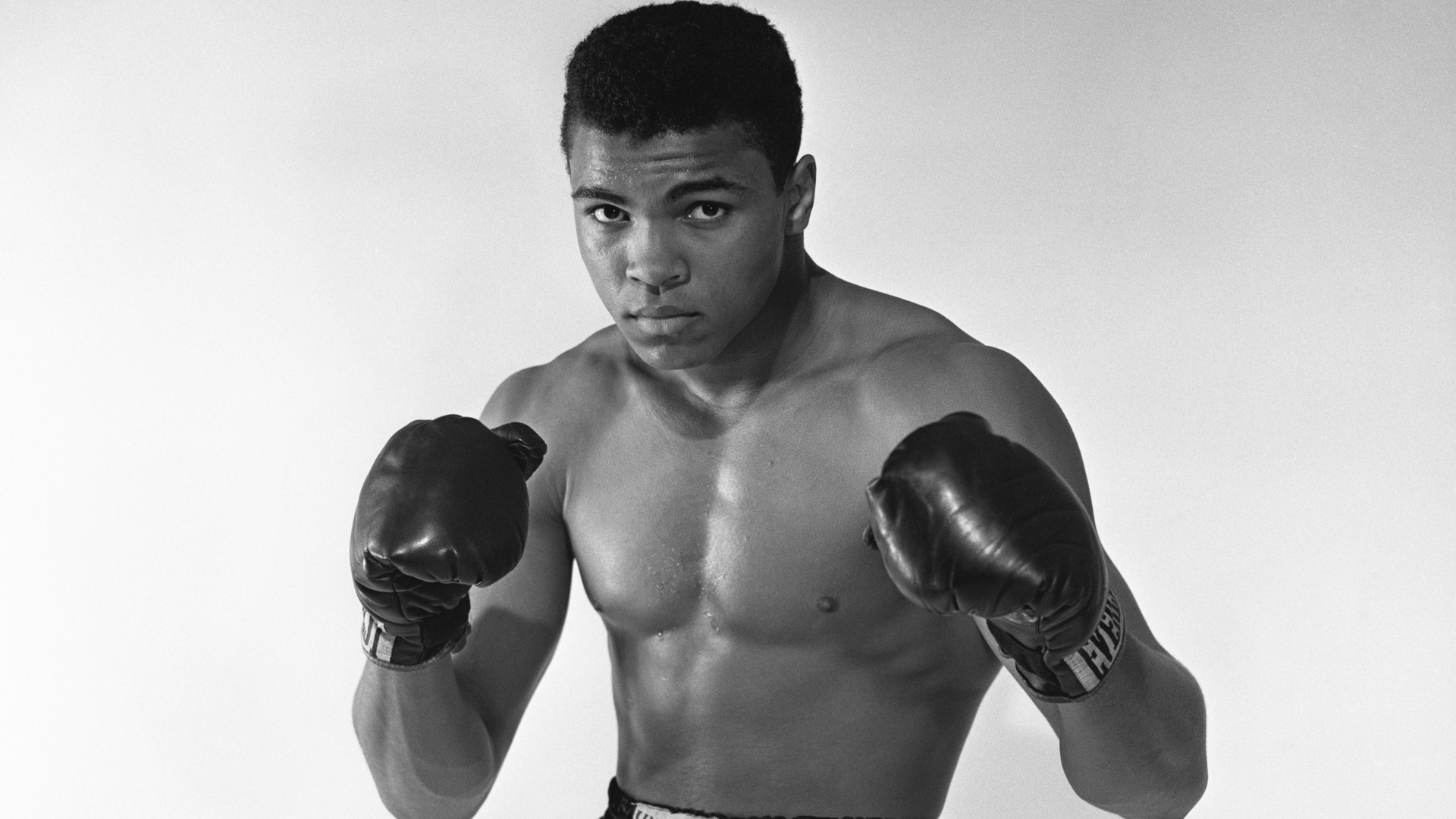 Скачать обои Muhammad Ali, boxing, legend boxer, Cassius Marcellus Clay ...