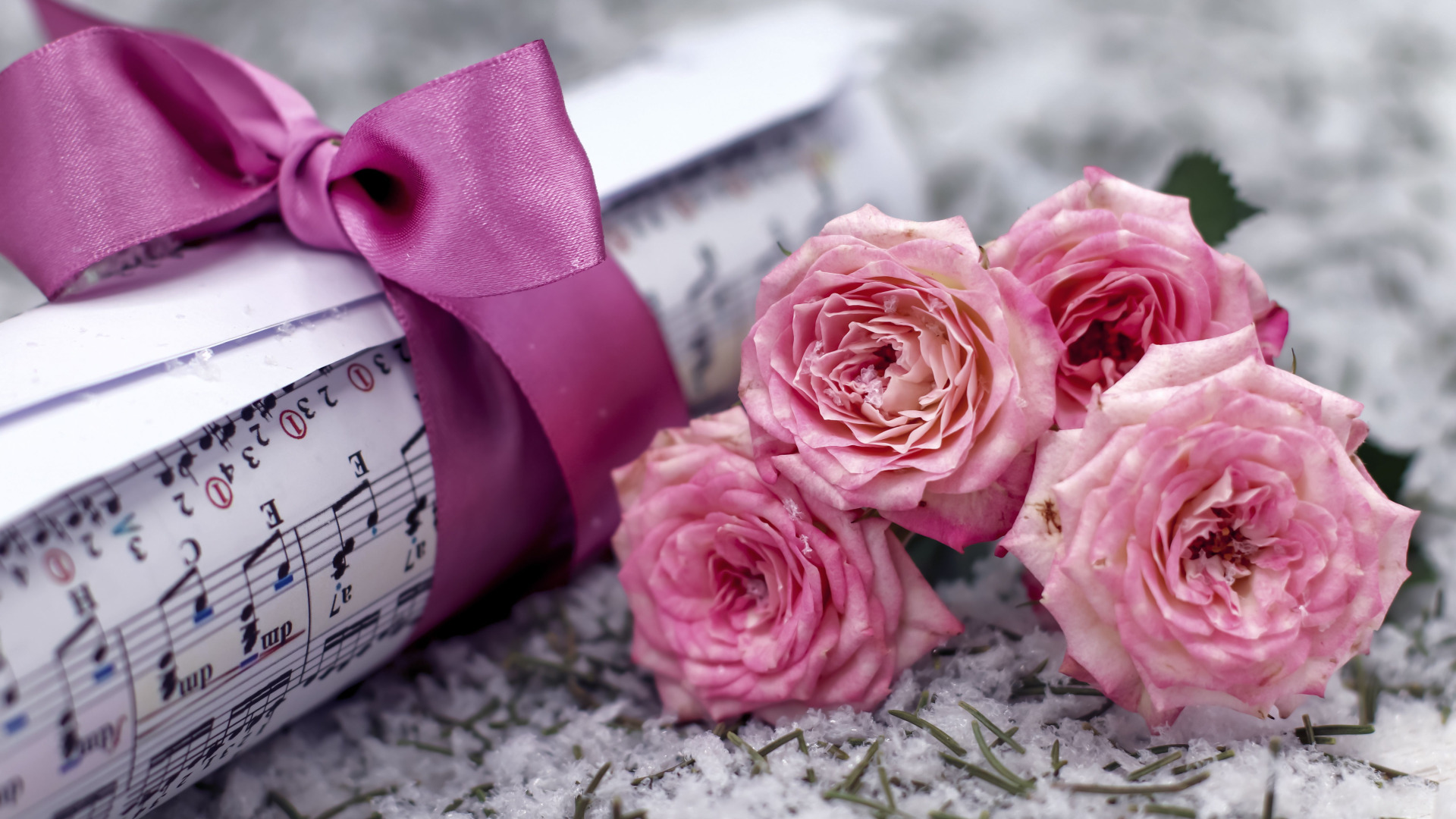Песни розовый букет. Розы с песнями. Снег цветы Ноты.