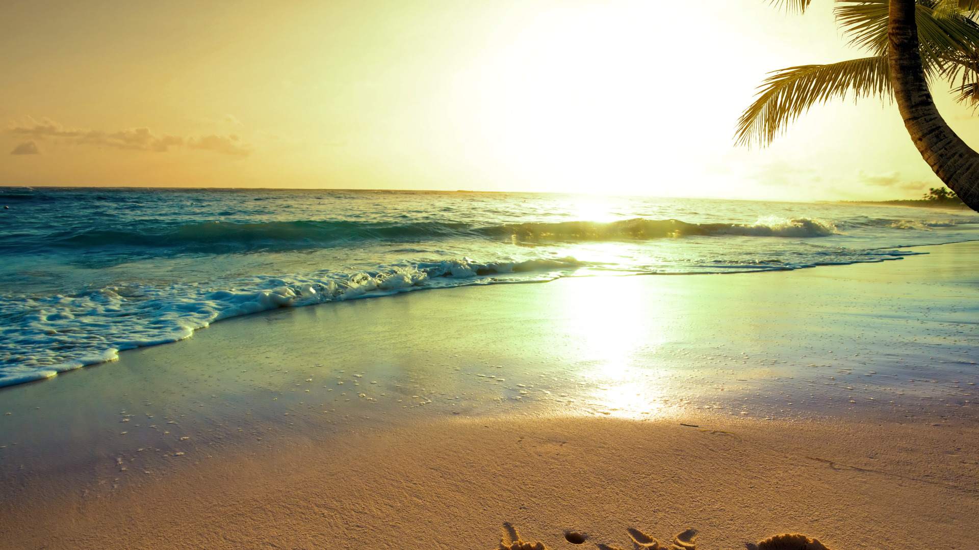 Море солнце пляж. Солнце пляж. Лето море солнце пляж. Красивое море. День на берегу океана