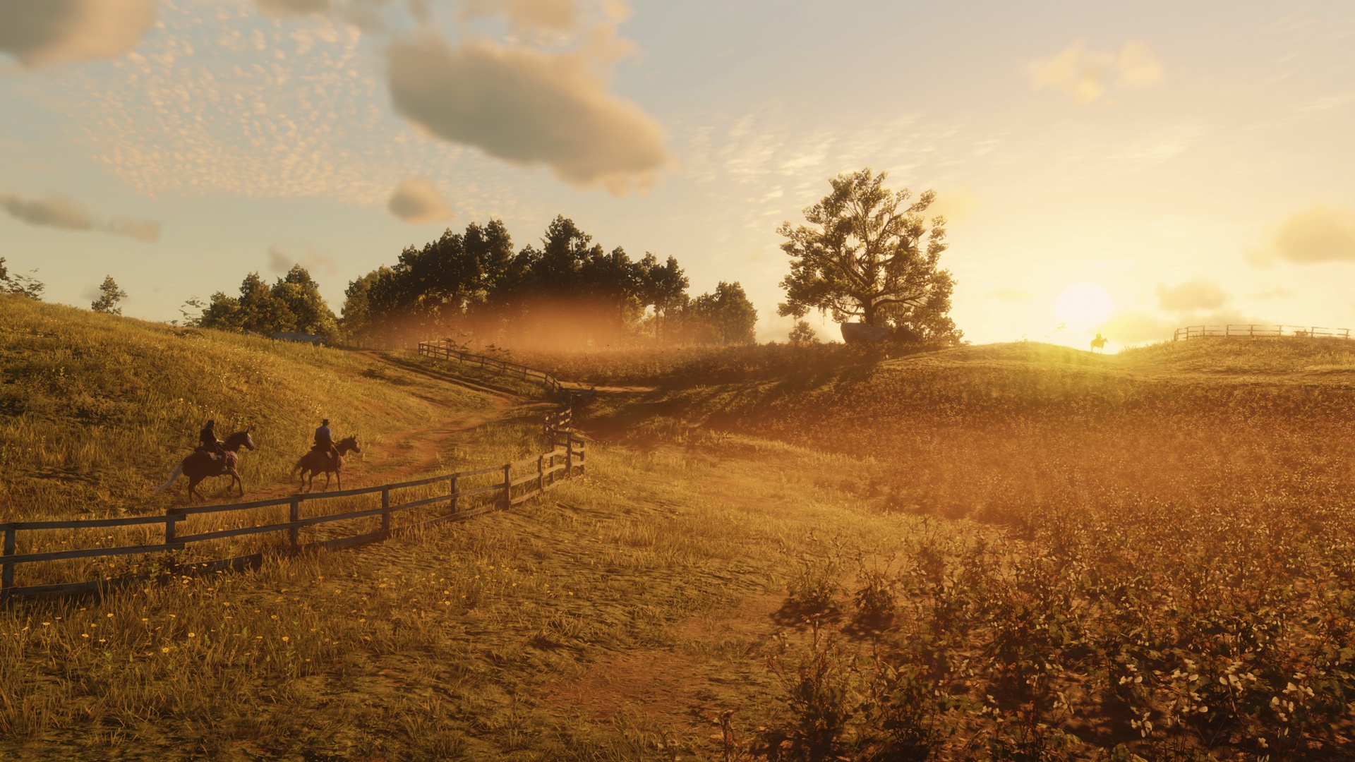 Рдр 5 класс. Red Dead Redemption 2 поле. Red Dead Redemption 2 Landscape. Red Dead Redemption 2 screenshots.