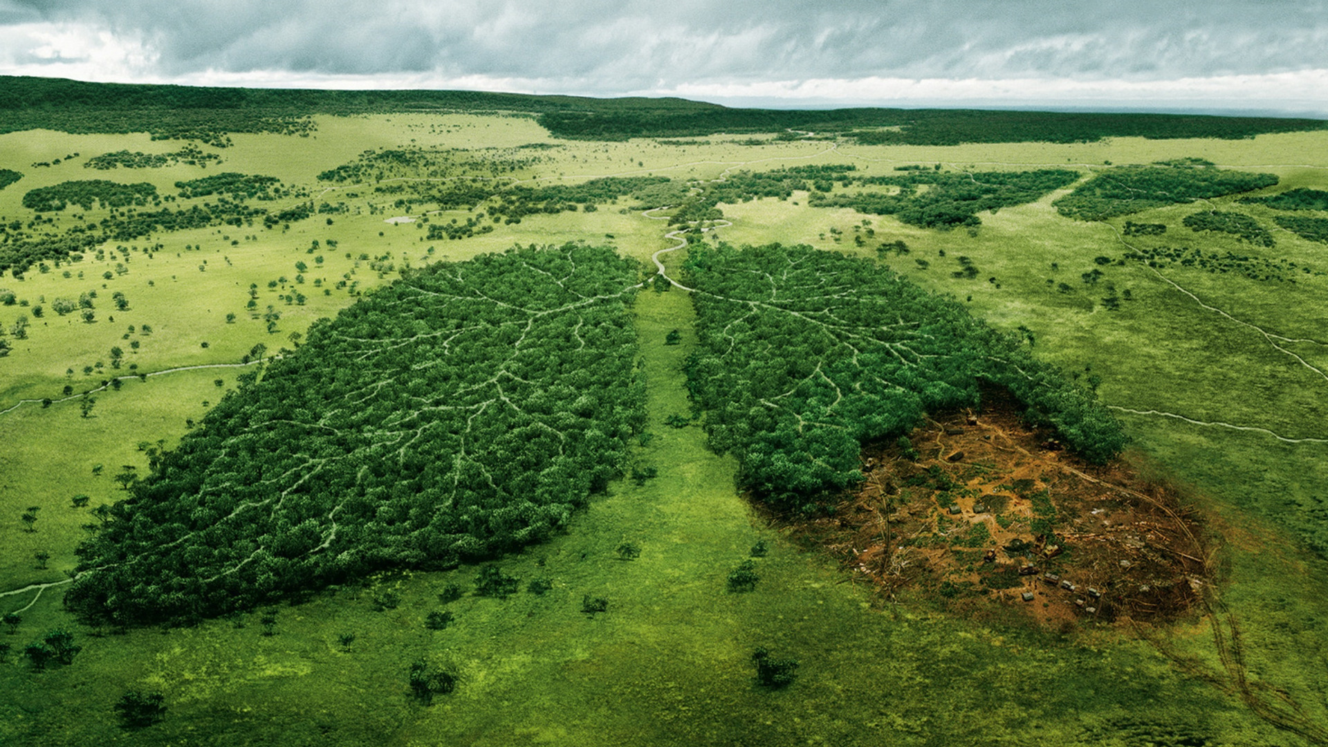 Изменение климата влияние на природу. Долина Мехико обезлесение. Обезлесение Перу. Вырубка леса. Легкие планеты.